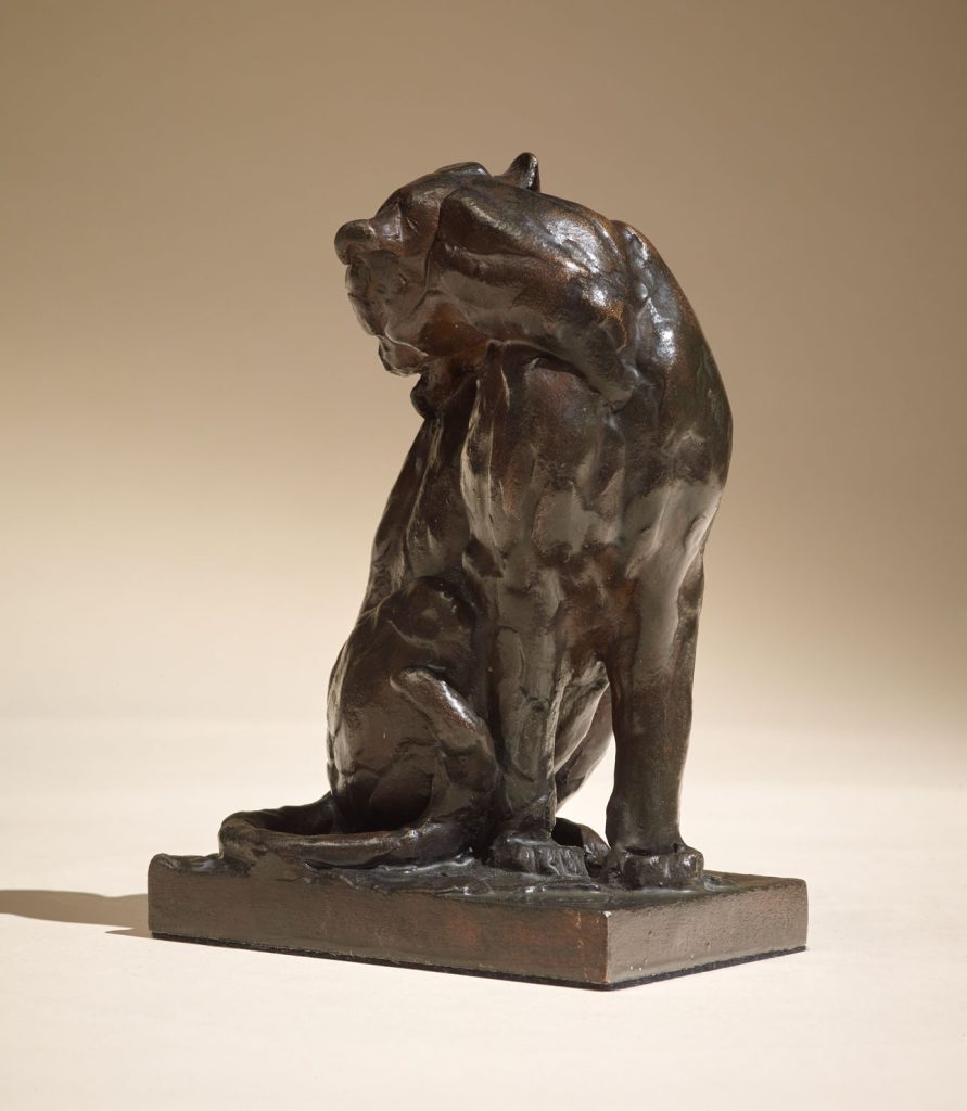 23. Grooming Leopard 7 x 5 x 3 (3)